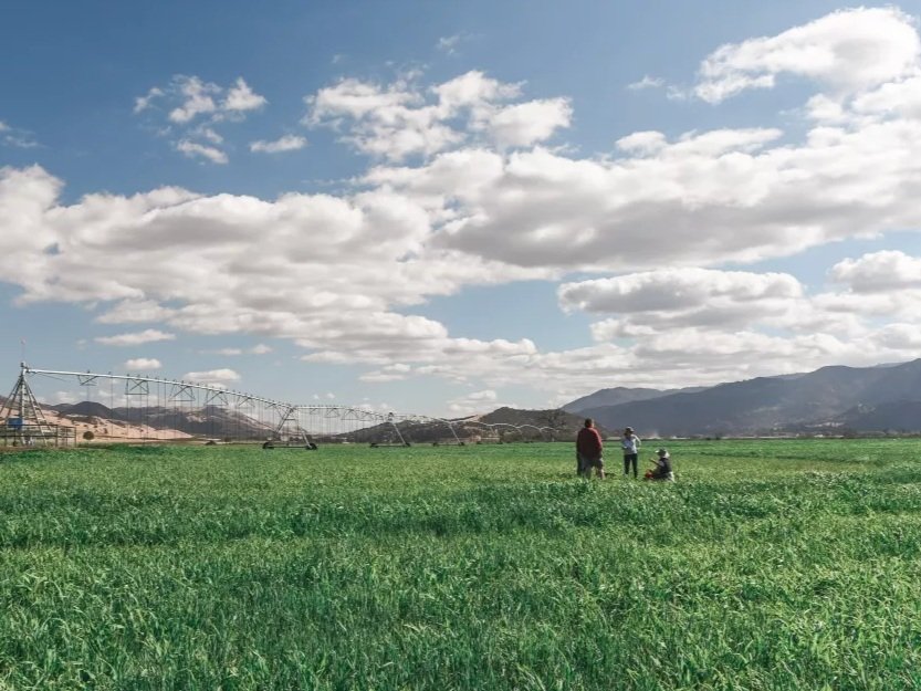 A tour of Paicines Ranch in central California, October 2018.Credit:Alicia Arcidiacono/Chasing Chickadees Photography